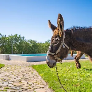 Burro By Host Wise Vakantieboerderij